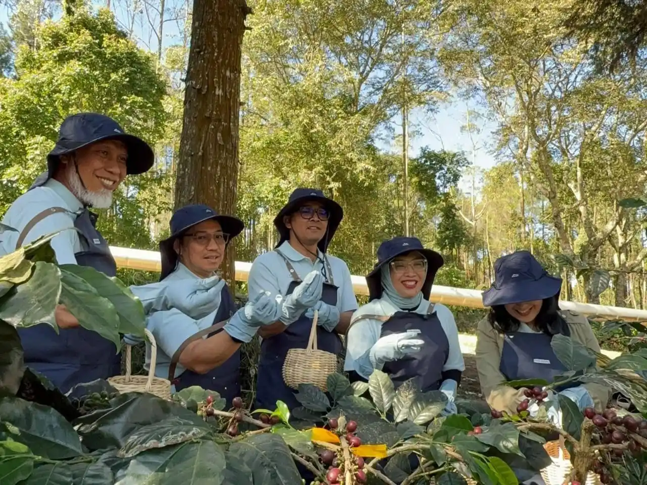 Kiri-Kanan : Mahyeldi Ansharullah - Gubernur Sumatera Barat, Julfi Hadi - Dirut PGE Tbk, I Made Budi Kesuma Adi Putra - GM Kamojang, Direktur Jenderal Energi Baru, Terbarukan, dan Konservasi Energi Prof. Dr Eng. Eniya Listiani Dewi, Valerina Daniel, M.A - Pemerhati Lingkungan saat kegiatan panen kopi dan ekspor perdana kopi Kamojang, 18 Juli 2025. [Foto: Doc. Pertamina]