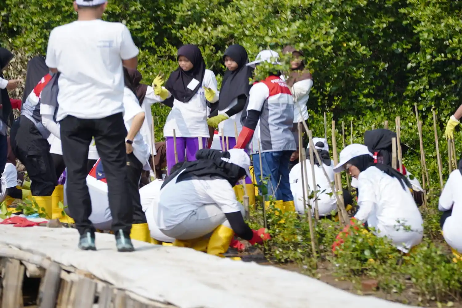 Pertamina dan Siswa SD Tanam Puluhan Ribu Mangrove [Foto: Doc. Pertamina]