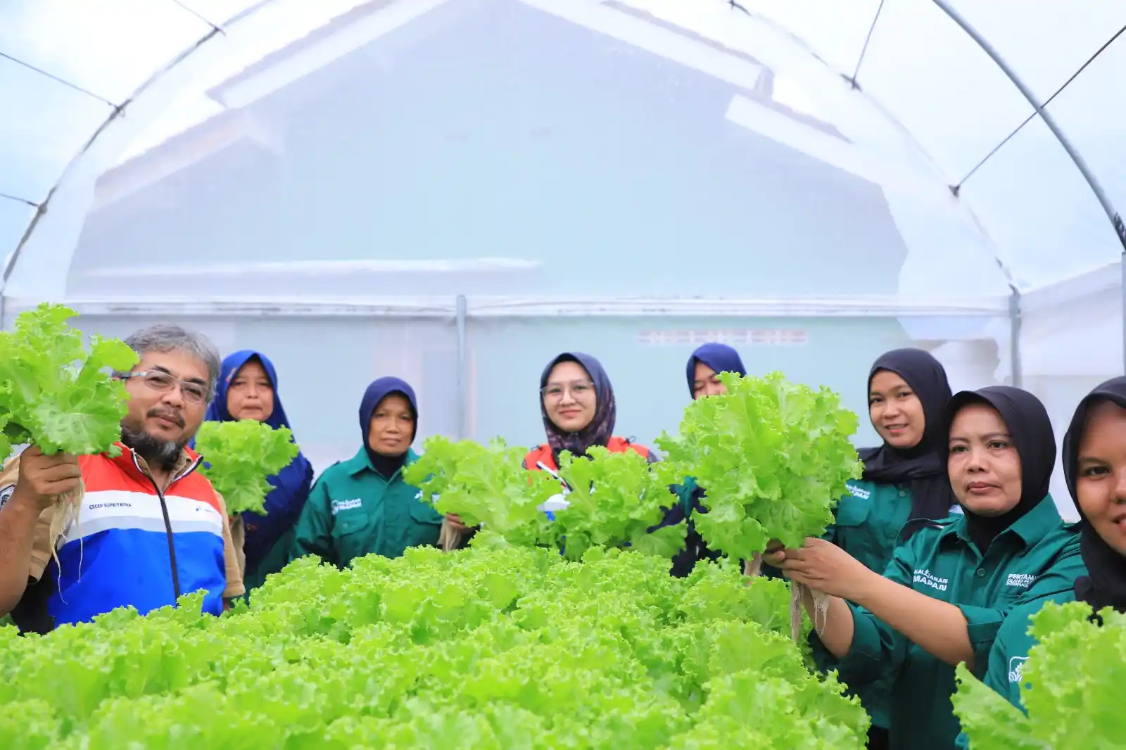 T Pertamina (Persero) turut mewujudkan ketahanan pangan, salah satunya dengan program Kalijaran Masyarakat Pengelola Pertanian Berkelanjutan (MAPAN) di Desa Energi Berdikari (DEB) Kalijaran, Kecamatan Maos, Kabupaten Cilacap. [Foto: Doc. Pertamina]