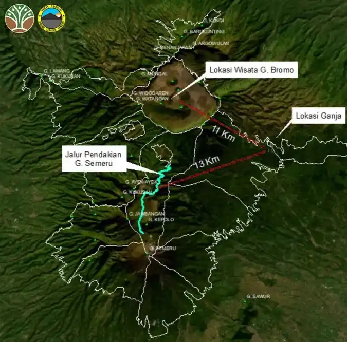 Larangan drone terbang dengan ladang ganja di Taman Nasional Bromo Tengger (Foto: Dok MI/KSDAE Kementerian Kehutanan)
