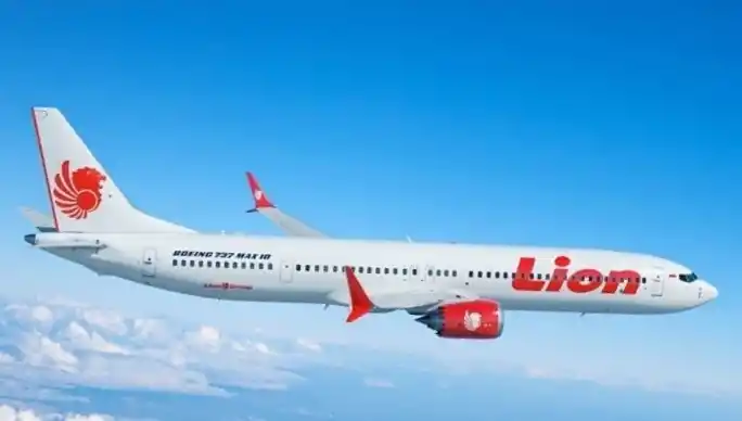 Pesawat Lion Air (Foto: Dok Lion Group)