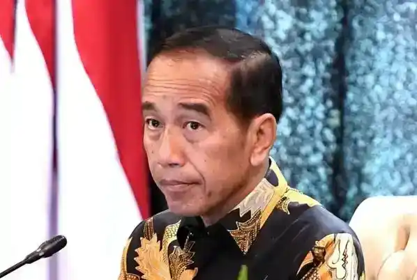 Presiden ke-7 RI Joko Widodo (Jokowi) (Foto: Istimewa)