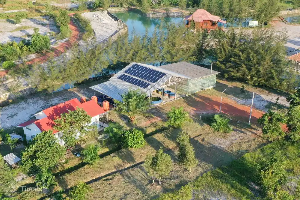 Langkah PT Timah Mengakselarasi Dekarbonisasi untuk Masa Depan Berkelanjutan [Foto: Doc. PT Timah]