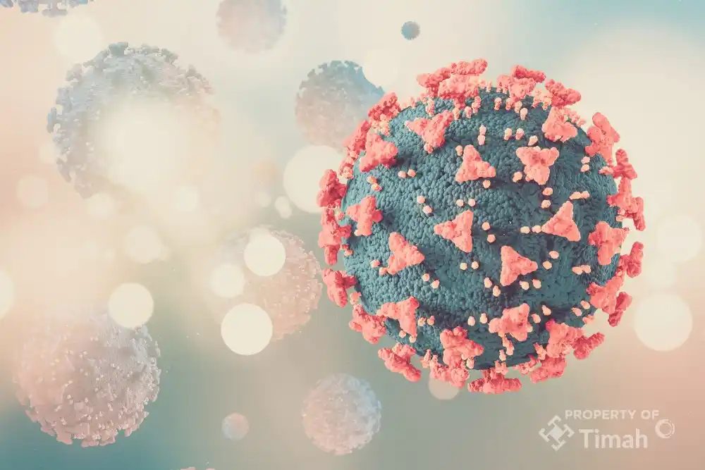 Ilustrasi [Foto: Ist]