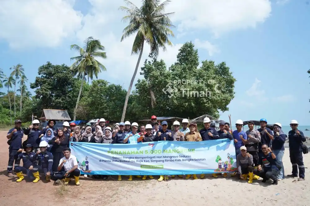 PT Timah-Karang Taruna Desa Rajik Kolaborasi Tanam Ribuan Mangrove [Foto: Doc. PT Timah]