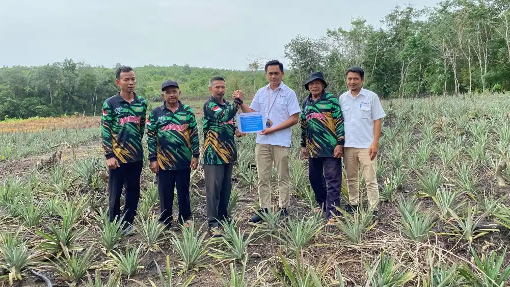 PT Timah Bantu Petani di Kundur Lewat Bibit Tanaman [Foto: Doc. PT Timah]