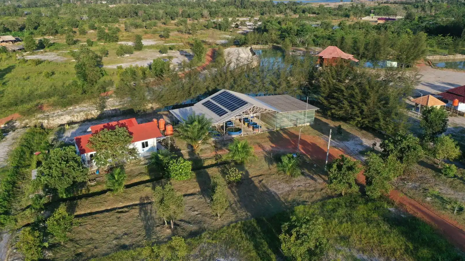 PT Timah Sinergikan Rehabilitasi Lingkungan dan Energi Hijau Lewat PLTS di Lahan Bekas Tambang [Foto: Doc. PT Timah]