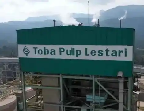 PT Toba Pulp Lestarsi (Foto: Istimewa)