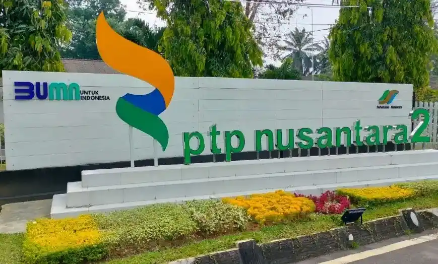 PTPN II (Foto: Istimewa)