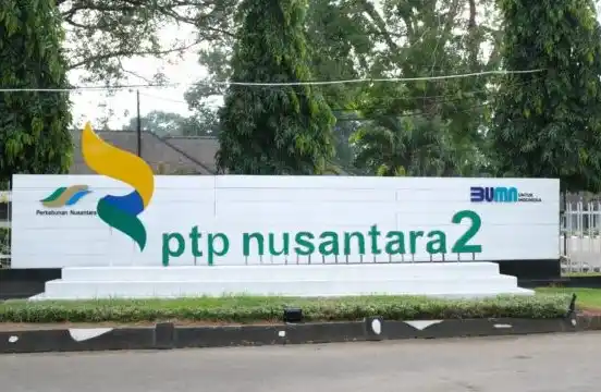 Kantor PTPN II (Foto: Dok MI/Istimewa)