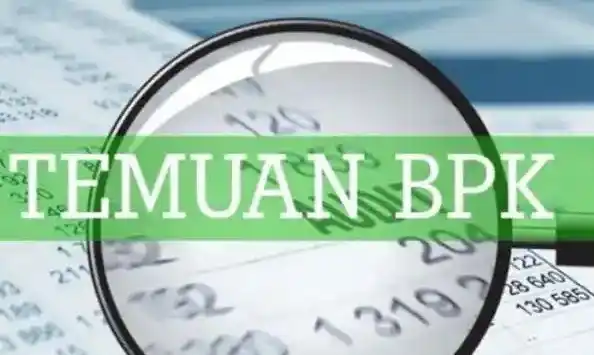 Ilustrasi - Temuan BPK RI (Foto: Istimewa)