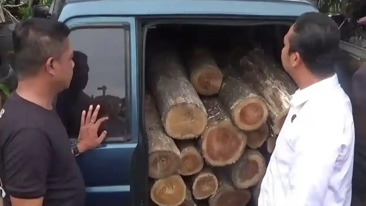 Ratusan Kayu Jati Disita dari 2 Pelaku Pembalakan Liar di Ngawi (Foto: Dok Polres Ngawi)