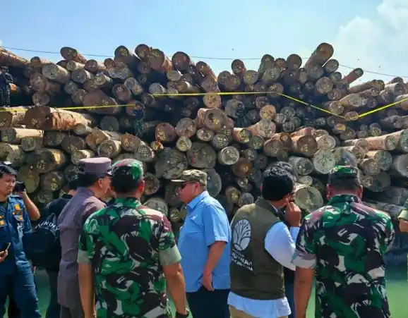 Satgas PKH amankan pembalakan liar di Kabupaten Kepulauan Mentawai, Sumatera Barat, Selasa (14/10/2025). Kasus ini merugikan negara Rp 240 miliar dengan tersangka  PT Berkah Rimba Nusantara dan seseorang berinisial IM. (Foto: Dok MI/Kejagung)