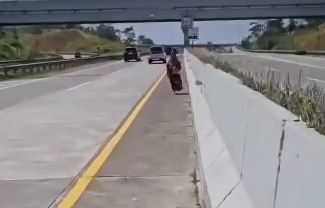 Seorang nenek-nenek ditemukan sedang berjalan kaki sendirian di Tol Cisumdawu KM 166 jalur A, Kabupaten Sumedang, Jawa Barat. (Foto: Tangkapan layar).