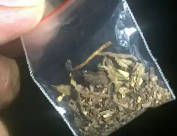 Ilustrasi - Jenis tembakau gorila (Foto: Tangkap layar)