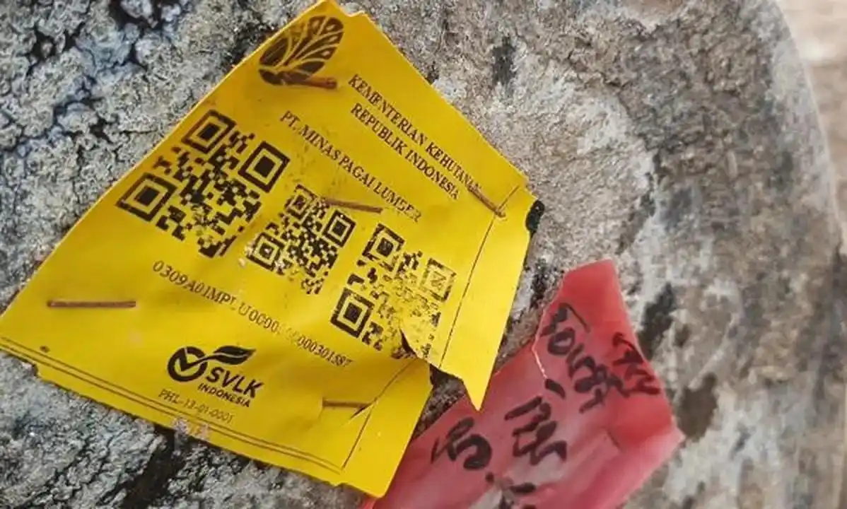 Temuan Kayu Berstiker Kemenhut di Lampung (Foto: Repro)