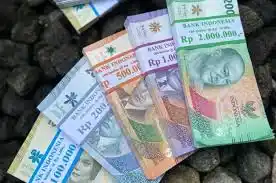 Aplikasi PINTAR BI Mengalami Kendala (Foto: Ist)