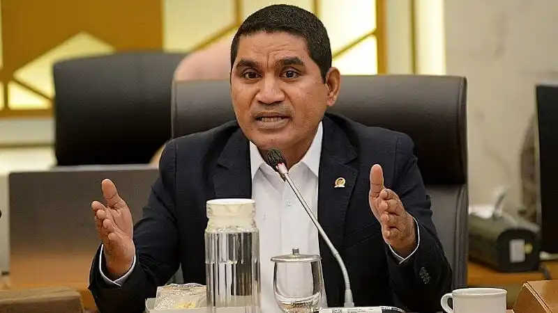 Wakil Ketua Komisi IV DPR, Ahmad Yohan