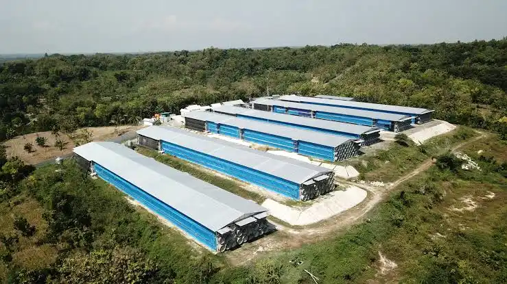 Aset milik PT Widodo Makmur Unggas Tbk (WMUU). (Foto: Dok Istimewa)